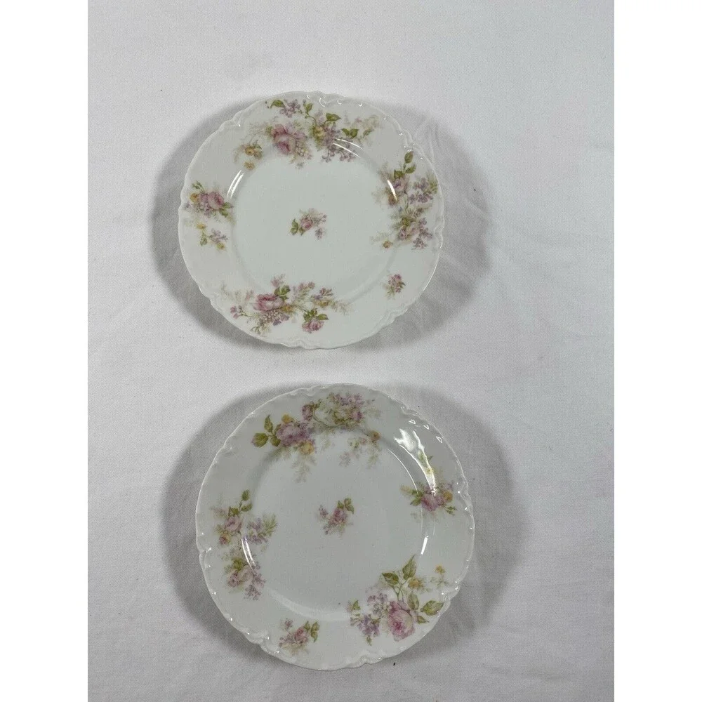 (2) Haviland Limoges Schleiger Yellow Pink Rose Floral 6” Fruit Dessert Plate